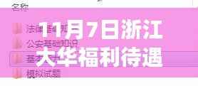揭秘浙江大华福利待遇内幕，最新动态与深度解读（更新至11月7日）