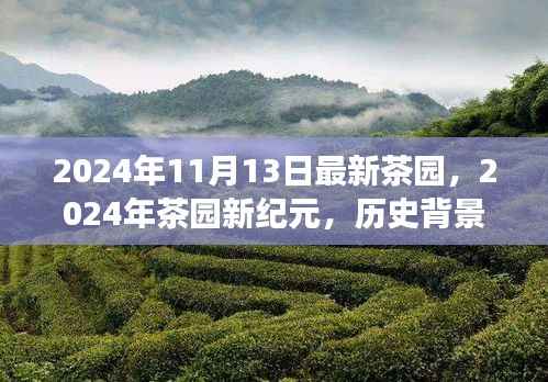 2024年茶园新纪元，历史背景、重大事件与深远影响的探索