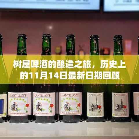 树屋啤酒的酿造之旅，历史上的11月14日最新日期回顾