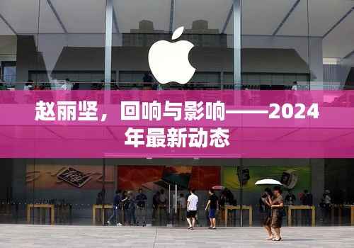 赵丽坚,回响与影响——2024年最新动态