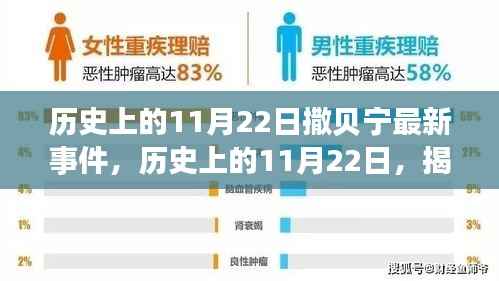 揭秘，历史上的11月22日撒贝宁最新事件揭秘与回顾