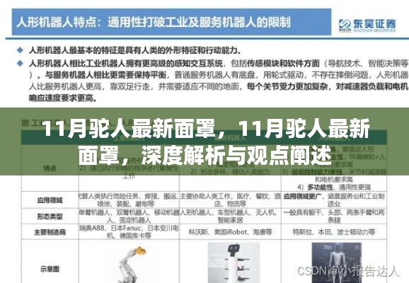 11月驼人最新面罩,深度解析与观点阐述