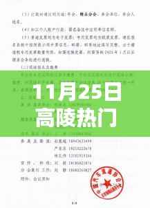 11月25日高陵最新资讯与热门通知汇总