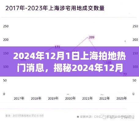 揭秘上海拍地热潮，热门地块动态与未来展望（2024年12月1日更新）