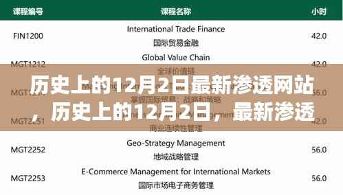 历史上的12月2日最新渗透网站事件深度解析