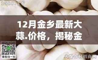 揭秘金乡大蒜市场,最新动态与价格走势分析,12月大蒜价格一览