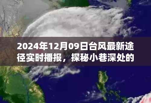 台风最新动态与小巷特色小店探秘，2024年12月09日实时播报