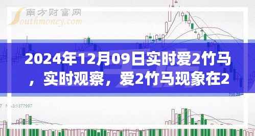 2024年12月9日深度解读，爱2竹马现象实时观察与解读