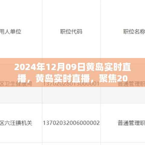2024年12月09日黄岛精彩瞬间实时直播