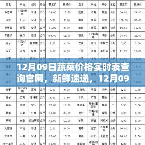 12月09日蔬菜价格实时表查询官网，最新动态一键掌握