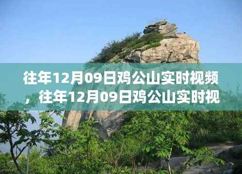 往年12月09日鸡公山实时视频观察，自然生态与个人观点深度解读