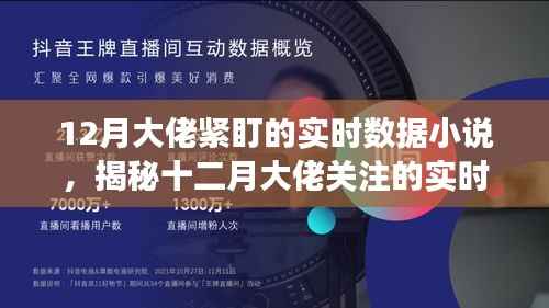 揭秘十二月大佬关注的实时数据小说，数字背后的故事深度剖析