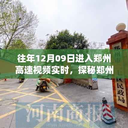 探秘郑州高速视频实时背后的美食秘境，小巷深处的独特风味