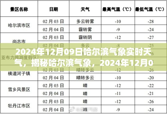 揭秘哈尔滨气象，2024年12月09日实时天气洞察