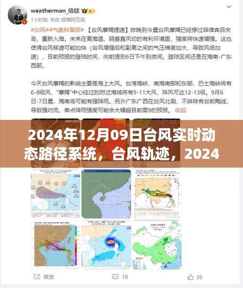 2024年台风实时动态追踪，路径系统、轨迹与风暴影响洞察