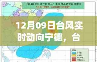 台风来袭!宁德气象监测产品深度解析与实时动向追踪
