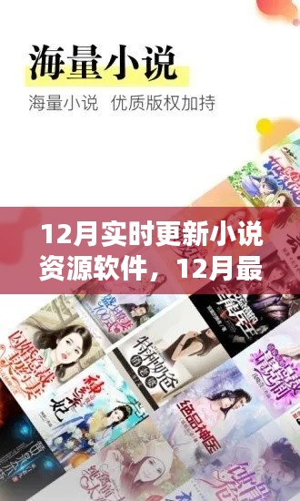 12月最新小说资源软件实时更新指南，热门小说阅读平台推荐