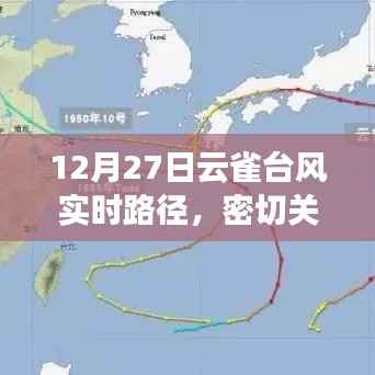 台风云雀实时路径更新，关注安全，防御风险