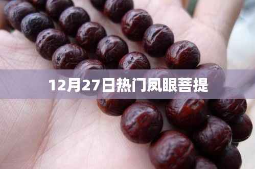 凤眼菩提大热,12月27日最新资讯