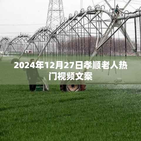 孝顺老人热门视频，关爱与陪伴的温暖时光