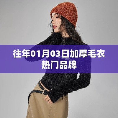 『01月精选,热门加厚毛衣品牌』