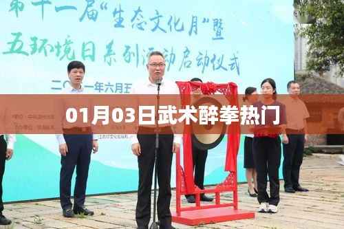 武术醉拳，热门技艺探秘