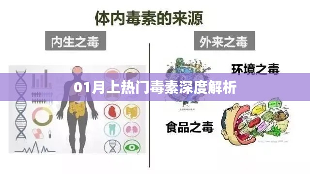 热门毒素深度解析，了解一月危害健康之隐患