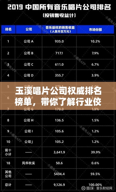 玉溪唱片公司权威排名榜单，带你了解行业佼佼者！