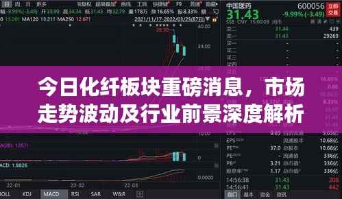 今日化纤板块重磅消息，市场走势波动及行业前景深度解析