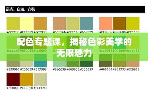配色专题课，揭秘色彩美学的无限魅力