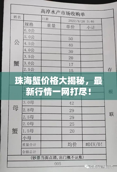 珠海蟹价格大揭秘，最新行情一网打尽！