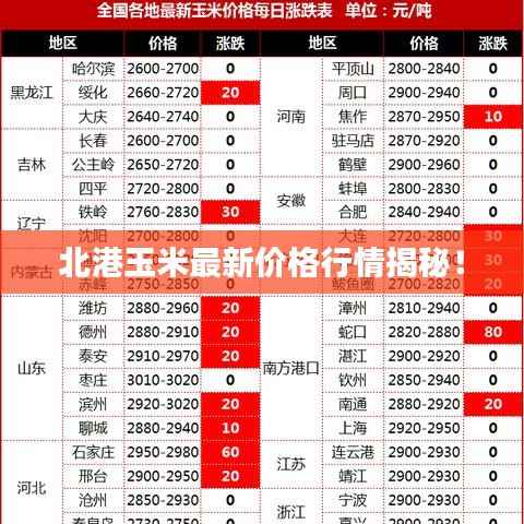 北港玉米最新价格行情揭秘！