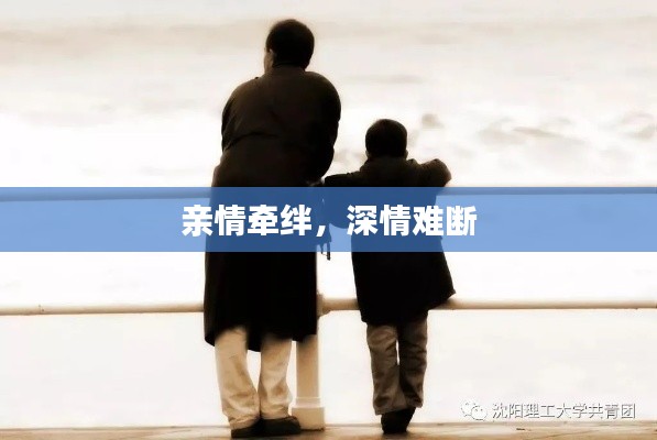 亲情牵绊，深情难断