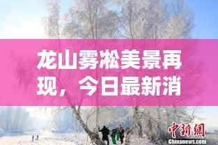 龙山雾凇美景再现，今日最新消息抢先看！