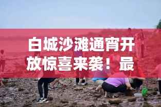 白城沙滩通宵开放惊喜来袭！最新消息一网打尽