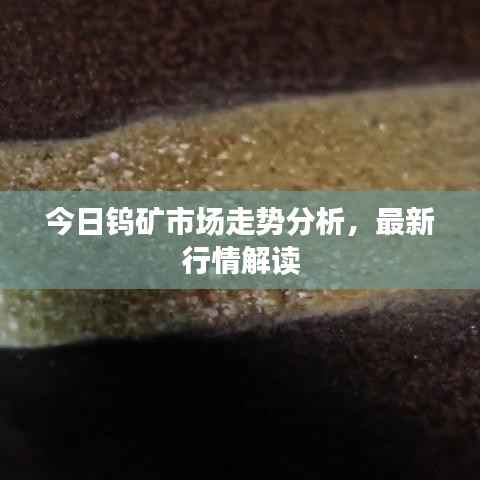 今日钨矿市场走势分析，最新行情解读