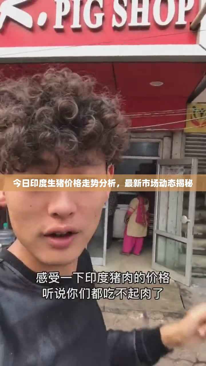 今日印度生猪价格走势分析，最新市场动态揭秘