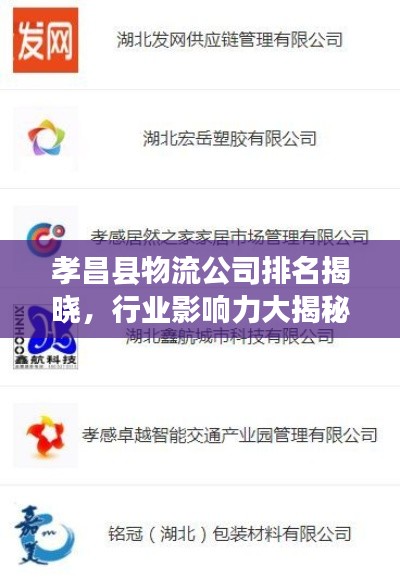 孝昌县物流公司排名揭晓，行业影响力大揭秘！