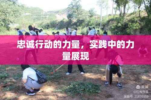 忠诚行动的力量，实践中的力量展现