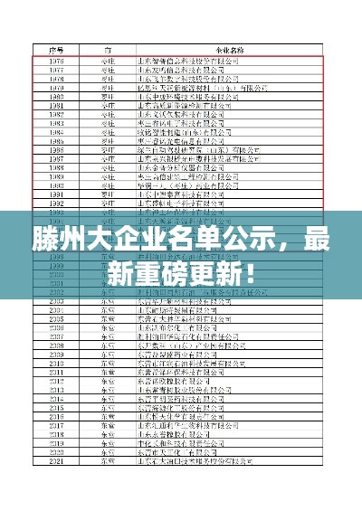 滕州大企业名单公示，最新重磅更新！