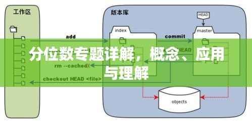 分位数专题详解,概念、应用与理解
