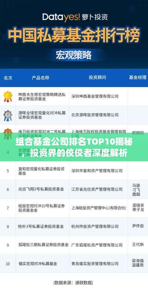 组合基金公司排名TOP10揭秘，投资界的佼佼者深度解析