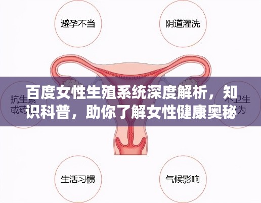 百度女性生殖系统深度解析，知识科普，助你了解女性健康奥秘