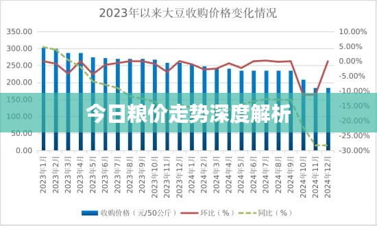 今日粮价走势深度解析
