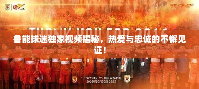 鲁能球迷独家视频揭秘,热爱与忠诚的不懈见证!